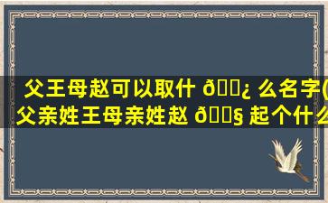父王母赵可以取什 🌿 么名字(父亲姓王母亲姓赵 🐧 起个什么名字好呢)